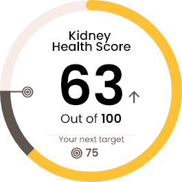 Kidney health score - 63/100