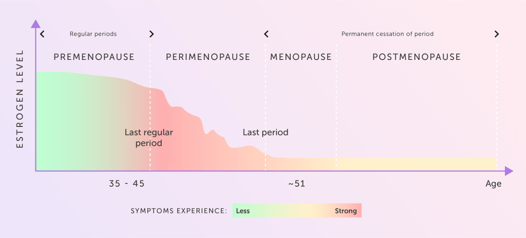 periods through the stages of the menopause