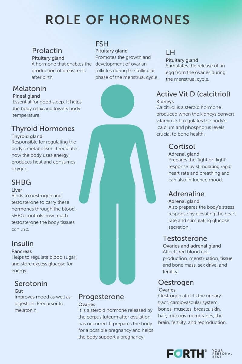 Role of hormones in women