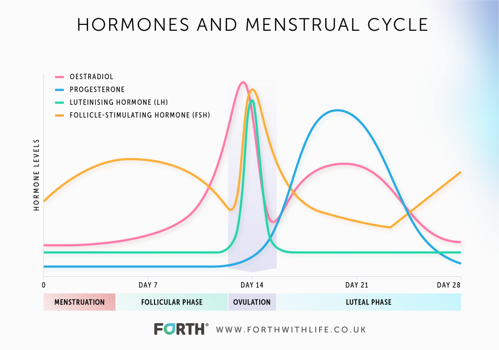 Menstrual cycle graph