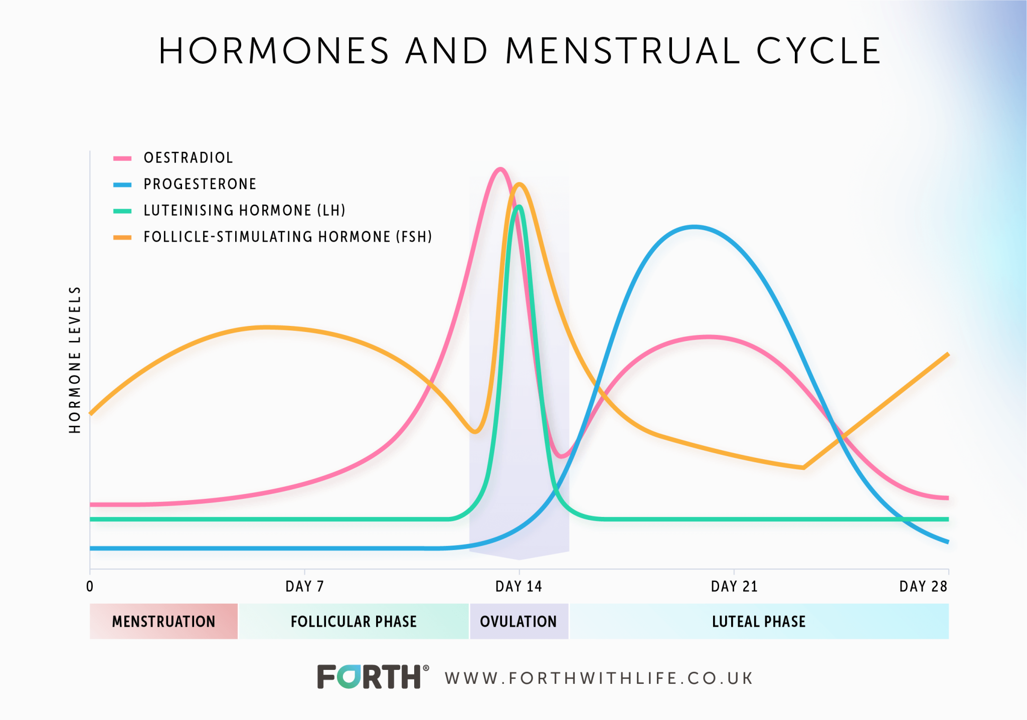 Menstrual Cycle Hormones Chart Hormone Cycle Chart RCATL
