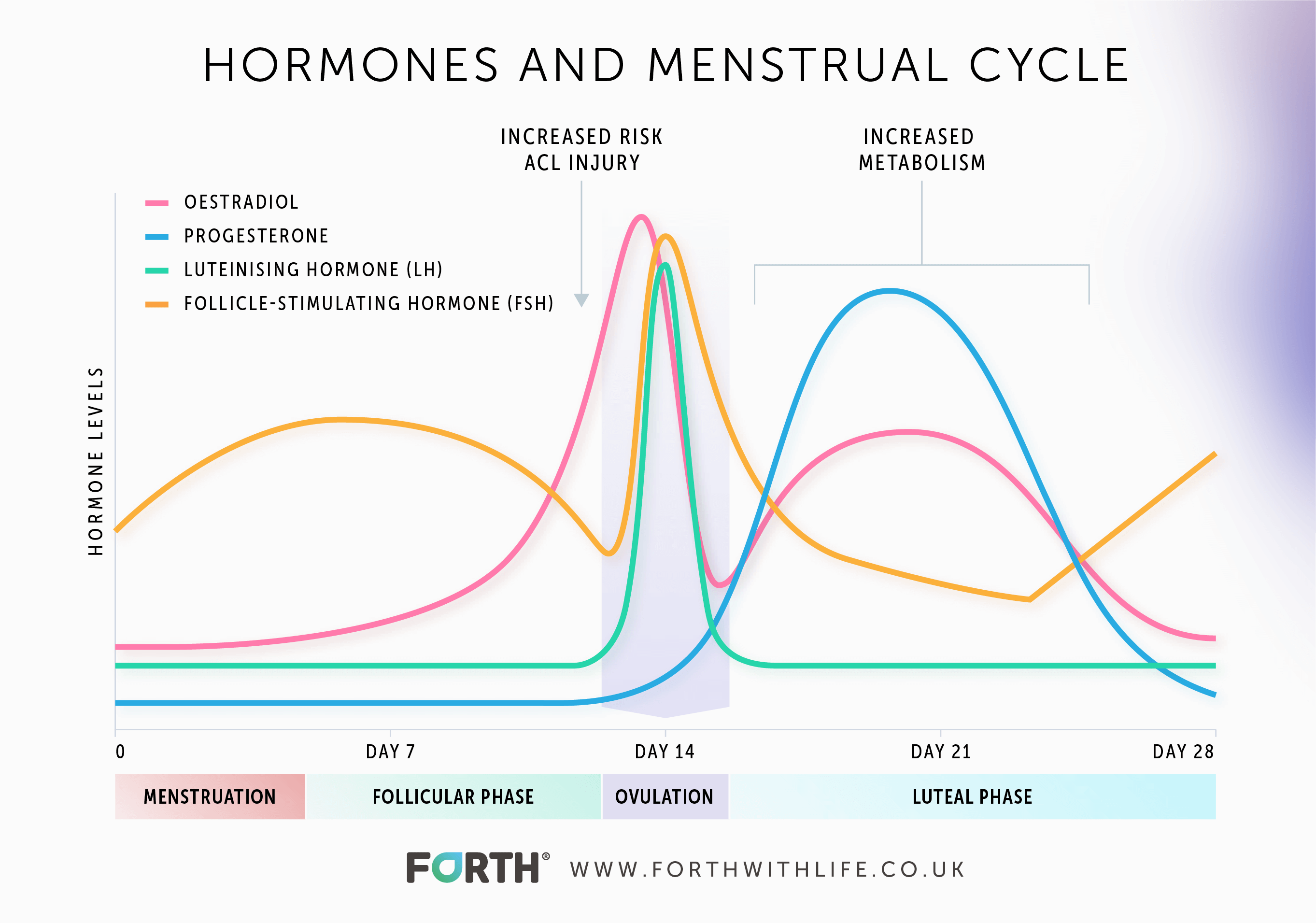 Menstrual cycle & metabolism graph