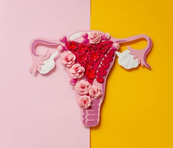 Artist impression of a uterus