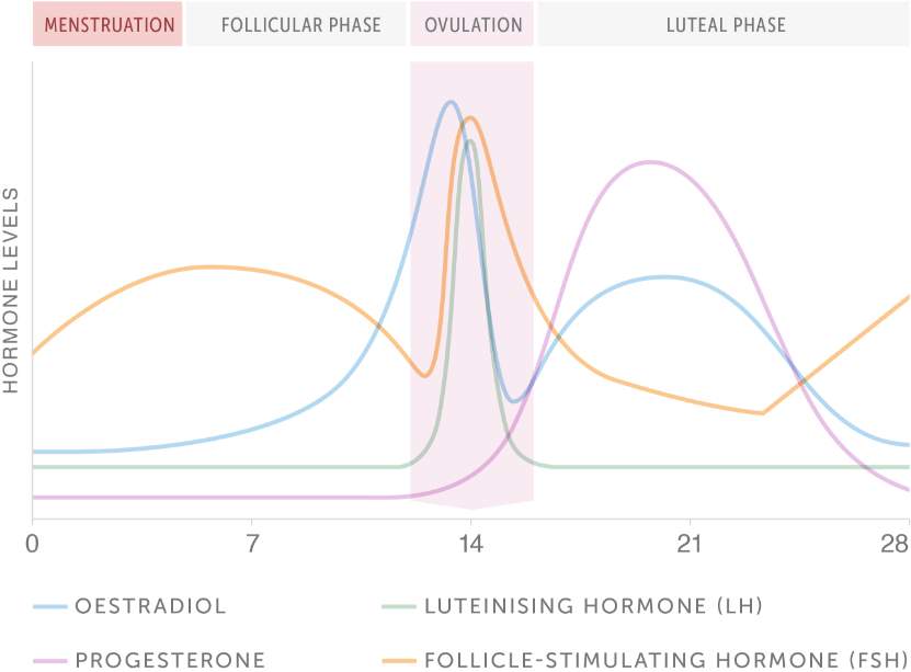 Hormone graph showing peak in ovulation