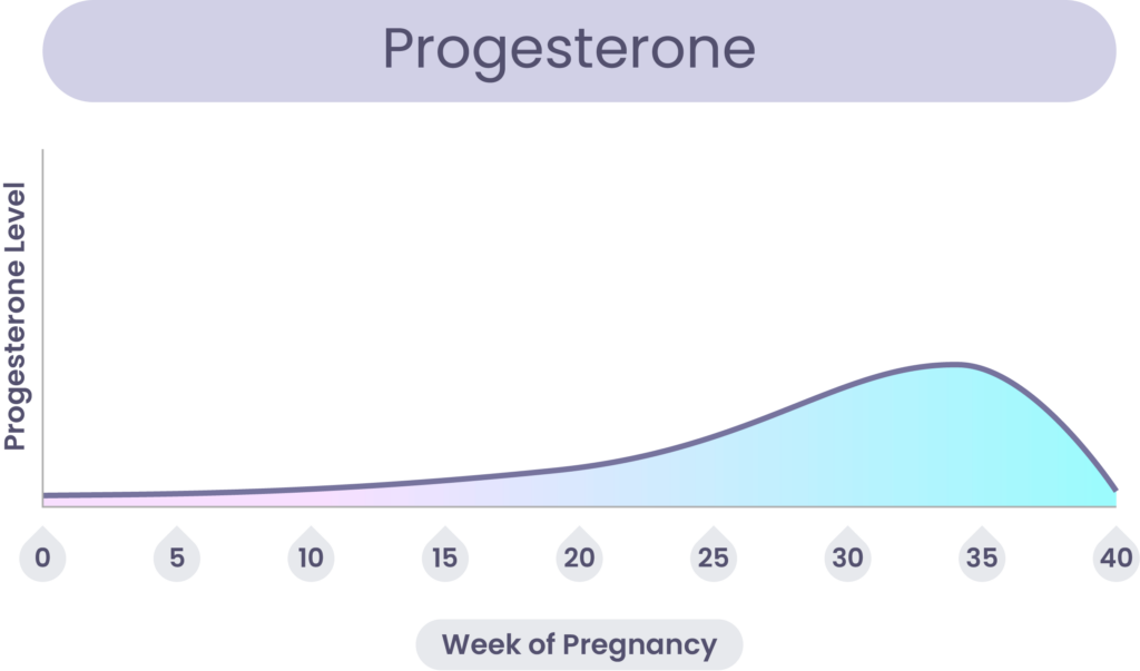 Progesterone levels changing during pregnancy