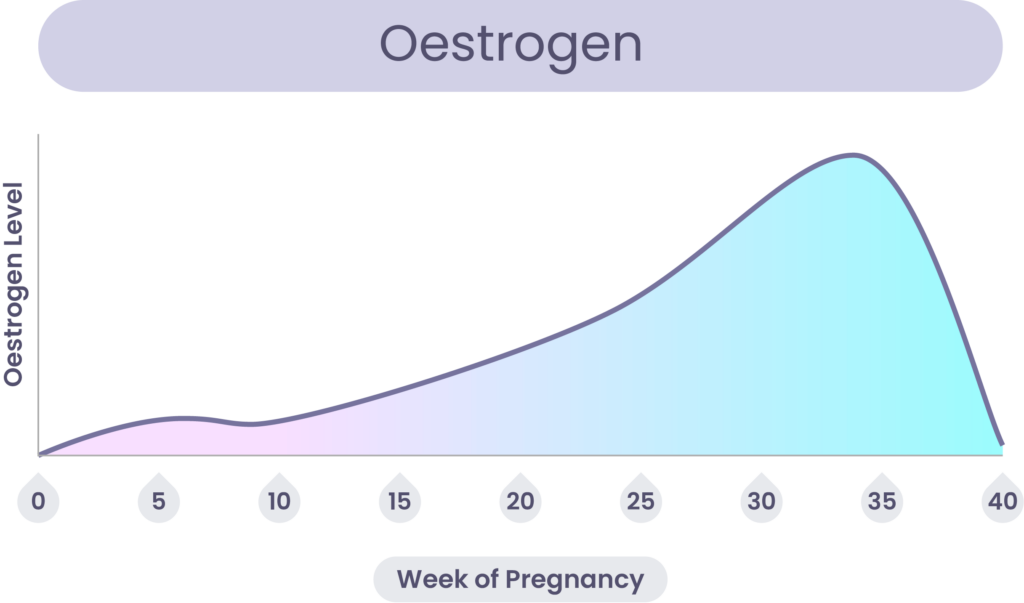 Oestrogen levels changing during pregnancy