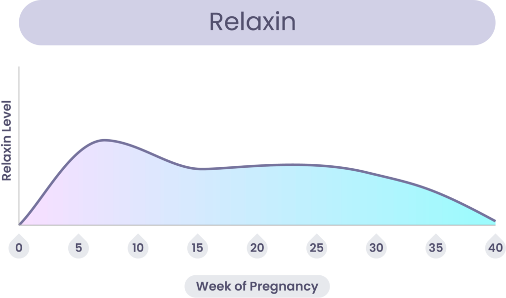 Relaxin levels changing during pregnancy