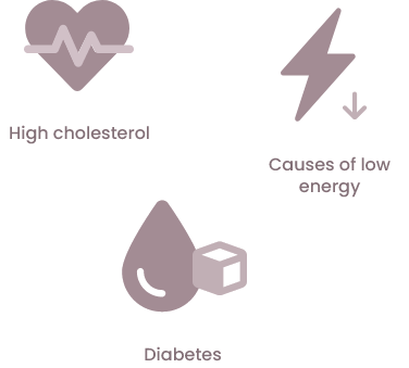 high cholesterol, causes of low energy and diabetes icon