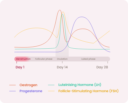 MyFORM-Graphic