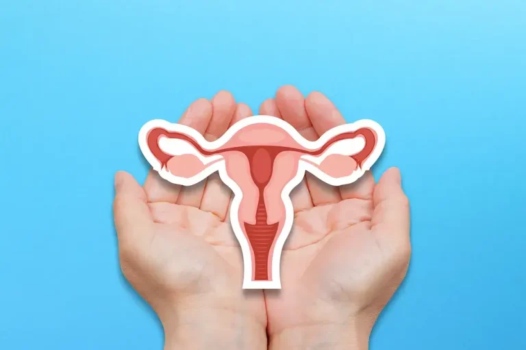 A woman's hands holding a diagram of the female reproductive system