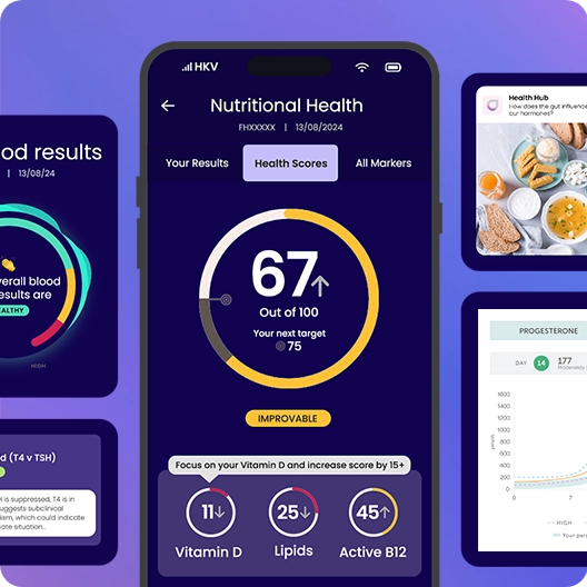 Forth News: Forth Launches B2B Service Forth Connect - Image of Forth Connect App Dashboards